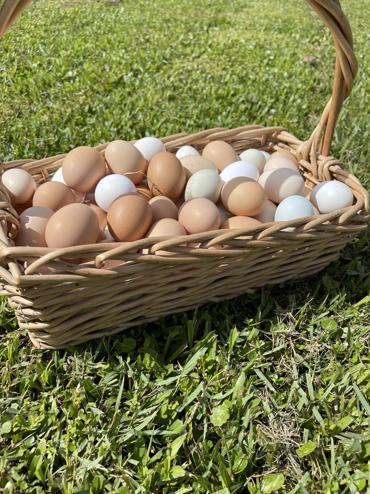 A wicker basket filled with eggs in different natural colors